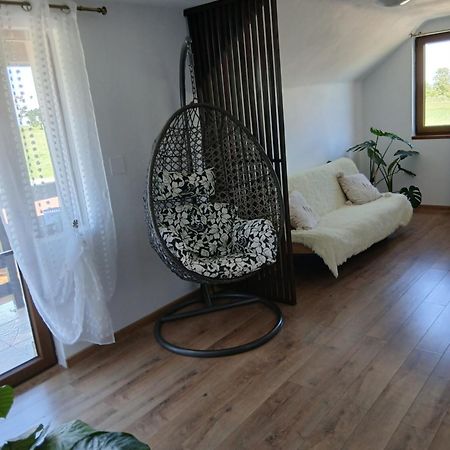 Casa Loredana Cîrţişoara Eksteriør billede
