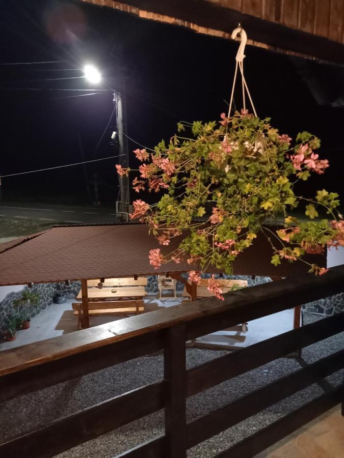 Casa Loredana Cîrţişoara Eksteriør billede