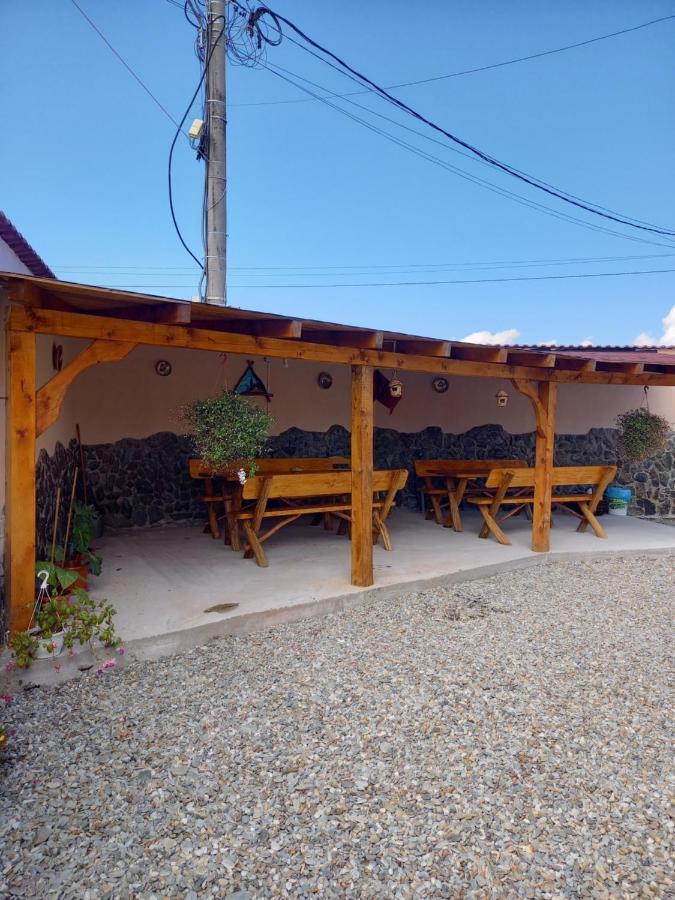 Casa Loredana Cîrţişoara Eksteriør billede