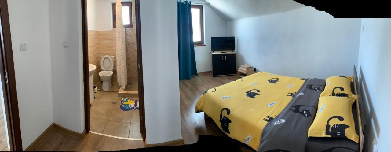 Casa Loredana Cîrţişoara Eksteriør billede