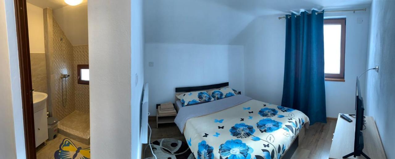 Casa Loredana Cîrţişoara Eksteriør billede