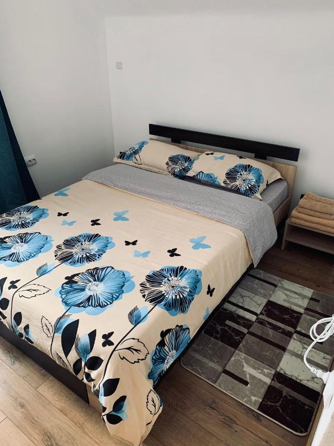 Casa Loredana Cîrţişoara Eksteriør billede