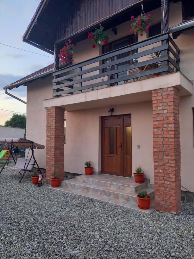 Casa Loredana Cîrţişoara Eksteriør billede