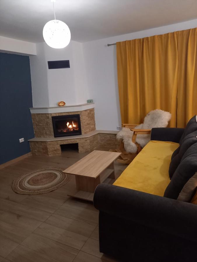 Casa Loredana Cîrţişoara Eksteriør billede