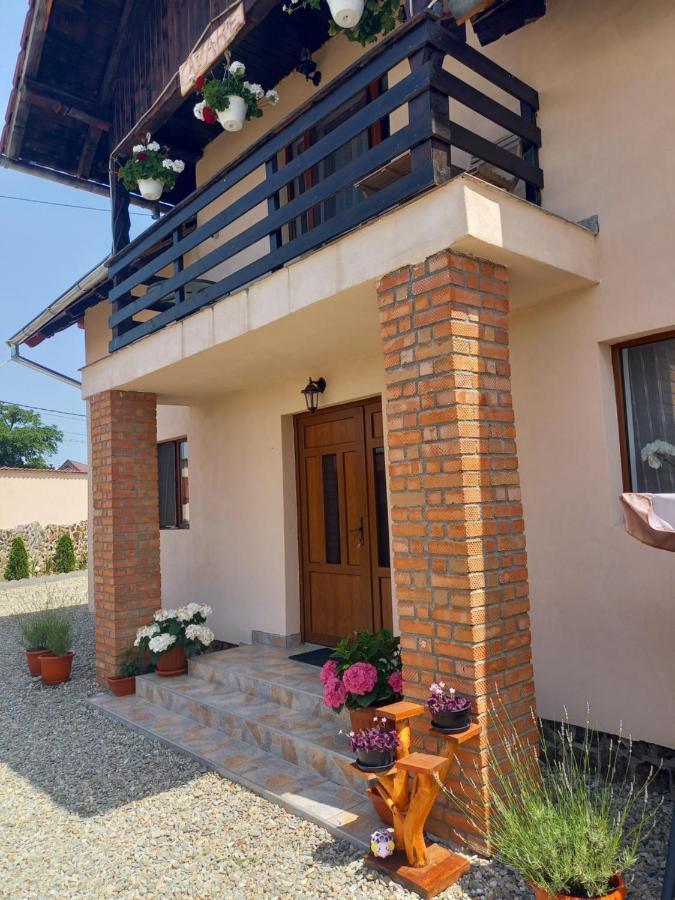 Casa Loredana Cîrţişoara Eksteriør billede